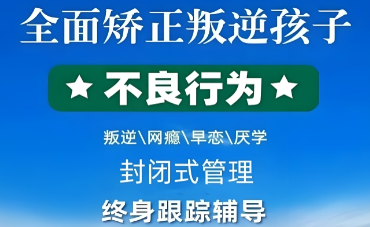 榜单!河北2025年好口碑的叛逆...