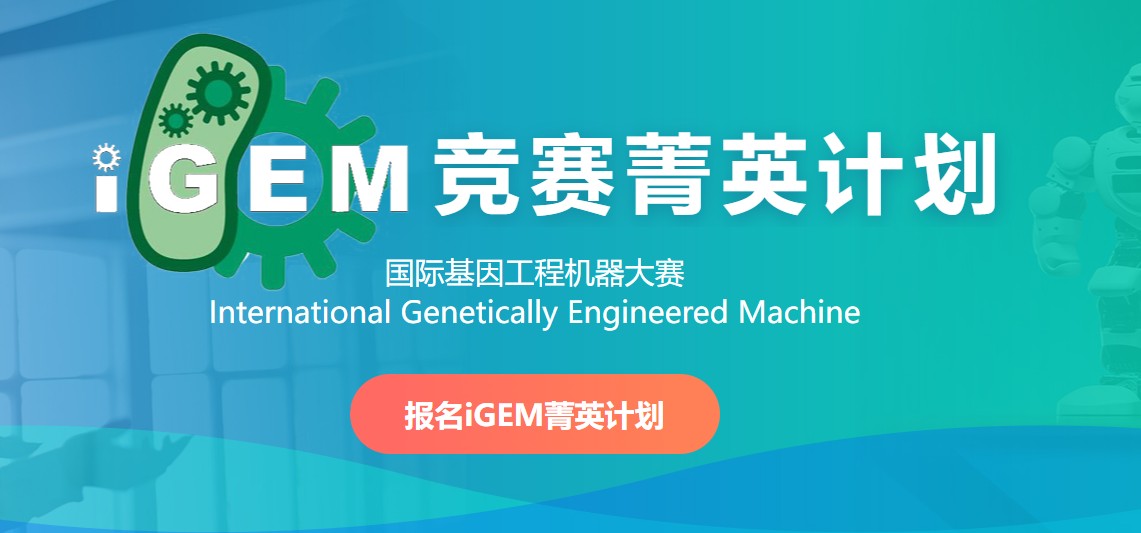 竞赛版面.jpg undefined