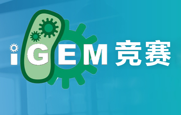 北京目前师资好的IGEM竞赛培训机构名单榜首公布-集思未来教育