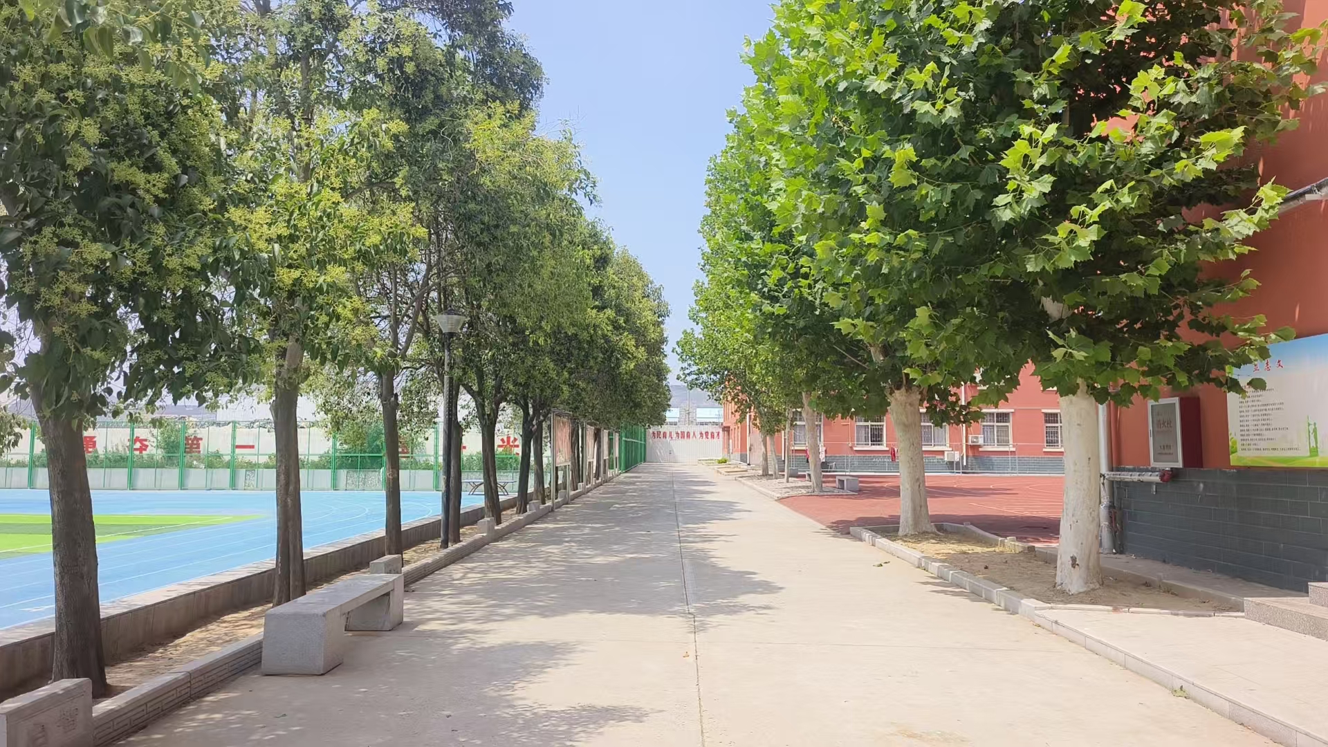 河南洛阳top排名推荐青少年叛...